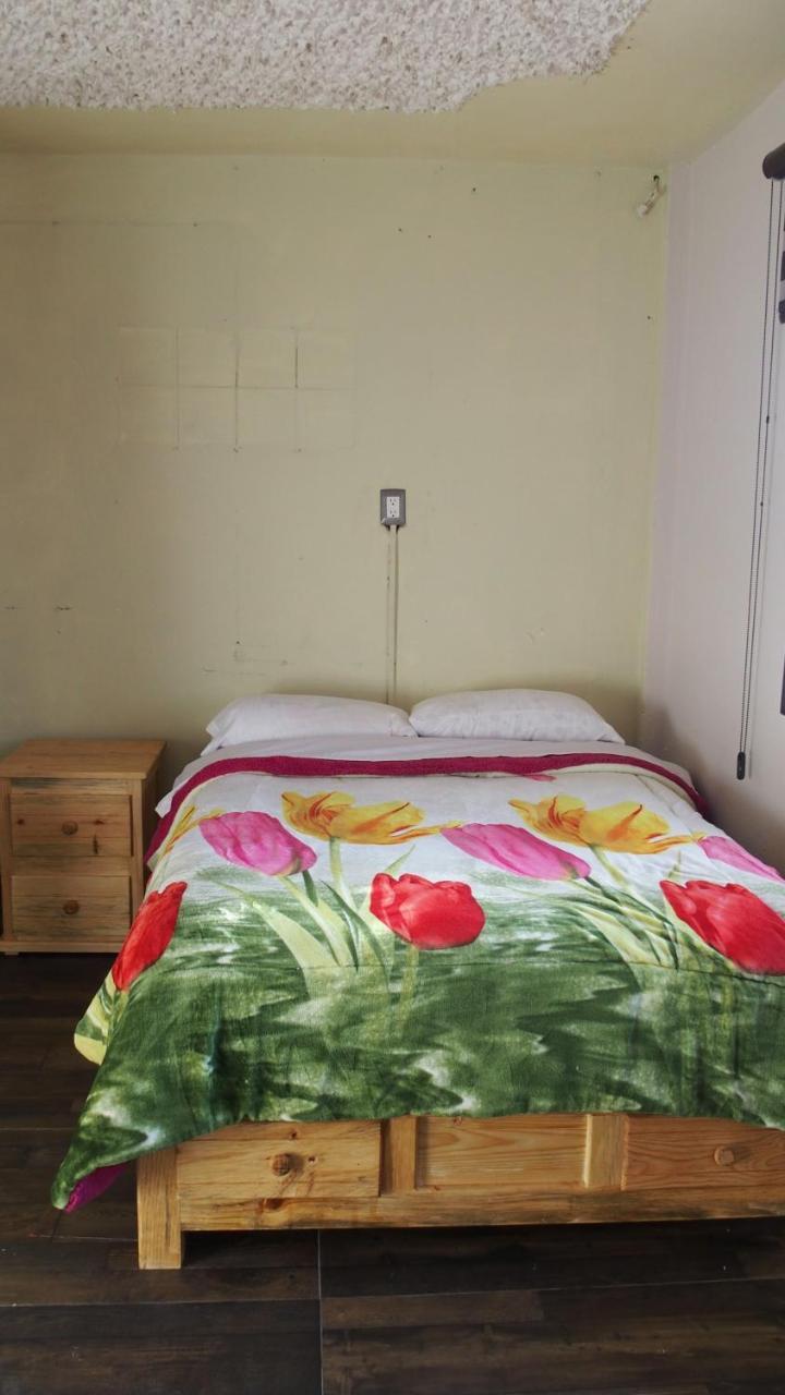 Kukulkan Hostal San Cristóbal de Las Casas Dış mekan fotoğraf